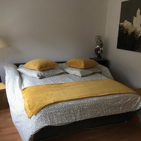 La Sinne Appartement 2 Pieces Avec Garage Mulhouse Esterno foto